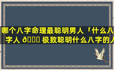 哪个八字命理最聪明男人「什么八字人 💐 极致聪明什么八字的人最聪明」